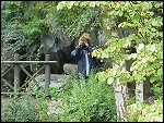 Mon 20 Sep 1999 13:48:28 MVC-288F.JPG 