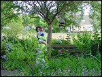 Sat 24 Jun 2000 19:19:40 DSC00227.JPG 