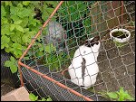 Sun 16 Jul 2000 14:28:20 DSC00422.JPG 
