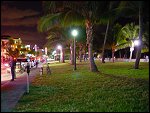 Wed 01 Nov 2000 00:53:02 DSC02336.JPG 