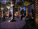 Wed 01 Nov 2000 18:57:44 DSC02359.JPG 