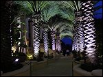 Wed 01 Nov 2000 19:00:54 DSC02361.JPG 