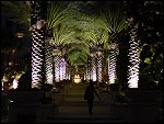 Wed 01 Nov 2000 19:02:38 DSC02364.JPG 