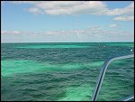 Thu 02 Nov 2000 13:45:20 DSC02397.JPG 
