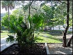 Thu 02 Nov 2000 16:14:02 DSC02401.JPG 