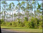 Thu 02 Nov 2000 17:14:46 DSC02406.JPG 