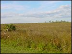 Thu 02 Nov 2000 17:16:22 DSC02407.JPG 
