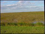 Thu 02 Nov 2000 17:17:30 DSC02408.JPG 