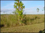 Thu 02 Nov 2000 17:22:12 DSC02410.JPG 