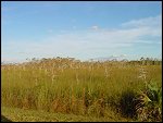 Thu 02 Nov 2000 17:31:32 DSC02413.JPG 