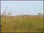 Thu 02 Nov 2000 17:31:56 DSC02414.JPG 