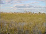 Thu 02 Nov 2000 17:34:08 DSC02415.JPG 