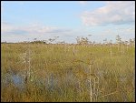 Thu 02 Nov 2000 17:34:20 DSC02416.JPG 
