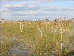 Thu 02 Nov 2000 17:34:48 DSC02417.JPG 