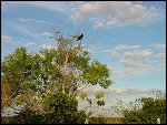Thu 02 Nov 2000 17:38:28 DSC02418.JPG 