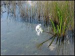 Thu 02 Nov 2000 17:40:46 DSC02420.JPG 