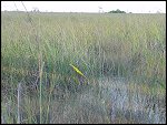Thu 02 Nov 2000 17:41:16 DSC02421.JPG 