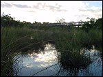 Thu 02 Nov 2000 17:41:50 DSC02422.JPG 