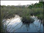 Thu 02 Nov 2000 17:42:22 DSC02423.JPG 