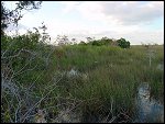 Thu 02 Nov 2000 17:45:22 DSC02426.JPG 