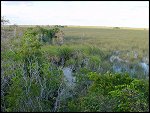 Thu 02 Nov 2000 17:46:16 DSC02427.JPG 