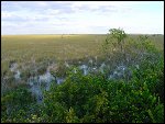 Thu 02 Nov 2000 17:46:28 DSC02428.JPG 