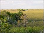 Thu 02 Nov 2000 17:47:08 DSC02429.JPG 