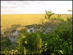 Thu 02 Nov 2000 17:47:42 DSC02430.JPG 