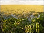 Thu 02 Nov 2000 17:47:54 DSC02431.JPG 