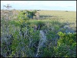 Thu 02 Nov 2000 17:48:06 DSC02432.JPG 