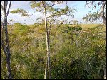 Thu 02 Nov 2000 17:48:36 DSC02433.JPG 