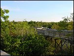 Thu 02 Nov 2000 17:49:14 DSC02434.JPG 