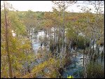 Thu 02 Nov 2000 17:49:38 DSC02435.JPG 