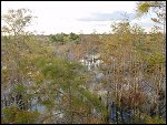 Thu 02 Nov 2000 17:50:06 DSC02436.JPG 