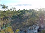 Thu 02 Nov 2000 17:50:28 DSC02437.JPG 