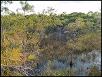 Thu 02 Nov 2000 17:51:10 DSC02438.JPG 