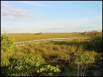 Thu 02 Nov 2000 17:51:48 DSC02439.JPG 