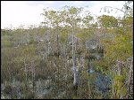 Thu 02 Nov 2000 17:59:40 DSC02442.JPG 