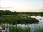 Thu 02 Nov 2000 18:35:38 DSC02444.JPG 