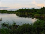 Thu 02 Nov 2000 18:35:56 DSC02445.JPG 