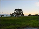 Thu 02 Nov 2000 18:39:16 DSC02446.JPG 