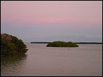 Thu 02 Nov 2000 18:49:22 DSC02453.JPG 