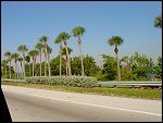 Fri 03 Nov 2000 10:37:06 DSC02475.JPG 