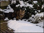 Sun 21 Jan 2001 13:40:36 DSC02684.JPG 