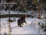 Sun 21 Jan 2001 13:52:10 DSC02690.JPG 