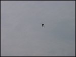 Sat 27 Apr 2002 17:34:26 DSC07305.JPG 