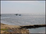 Mon 29 Apr 2002 15:27:50 DSC07446.JPG 