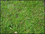 Mon 12 Aug 2002 19:46:00 DSC08311.JPG 