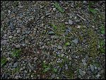 Wed 14 Aug 2002 20:42:28 DSC08372.JPG 