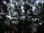 Wed 14 Aug 2002 20:53:50 DSC08384.JPG 